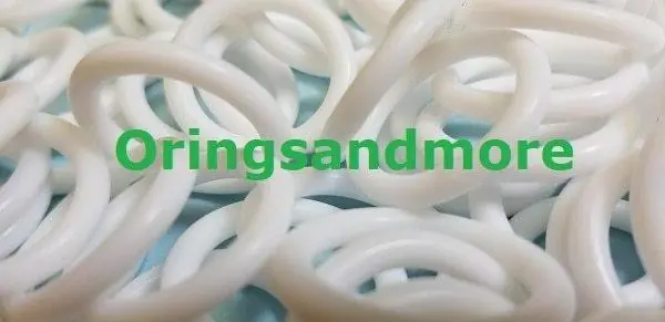 PTFE Orings Size 421 Price for 1 pc
