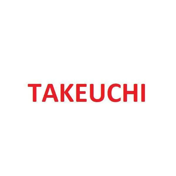 Takeuchi 19001-00499 Cylinder Seal fits Takuechi