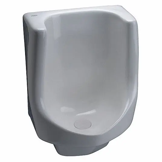 Zurn Z5795 Waterless Urinal EcoVantage, 0 Gallons per Flush, Vitreous China