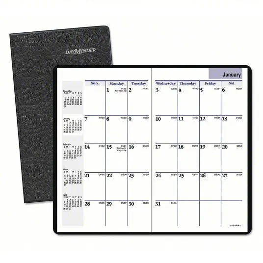 At-A-Glance SK53-00 Planner, 3-5/8 x 6-1/16", Polypropylene
