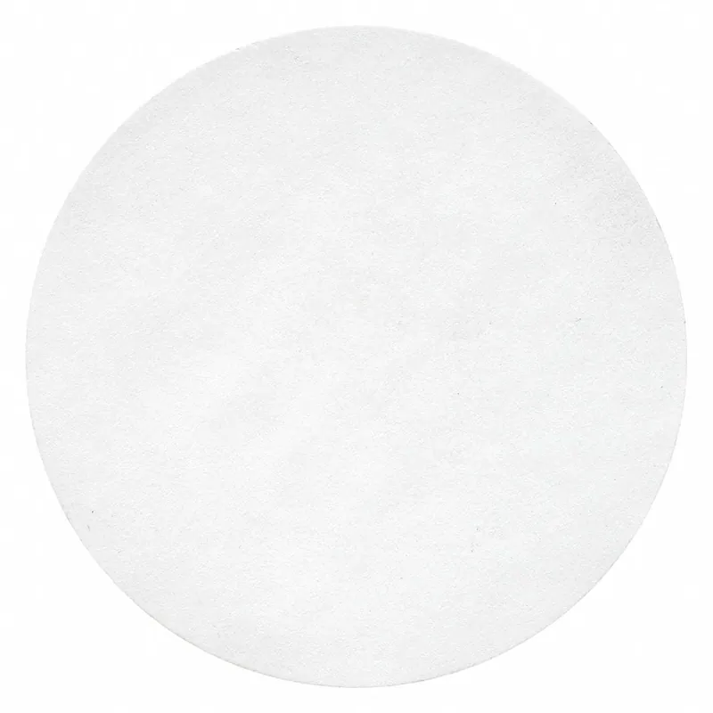 LabExact 12K890 Qualitative Filter Paper, 1 Grade, 4.25 cm Dia, 0.2 mm Thick, Medium