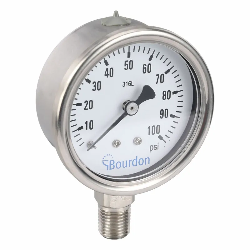 Bourdon MEX3-D50.H21/0133 Industrial Pressure Gauge, 0-100 psi, 2-1/2 in Dial, 1/4 in NPT Bottom, 316L Stainless Steel, IP65