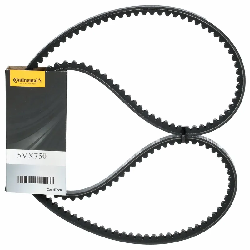 Continental 5VX600 Cogged V-Belt, 60 in Outside Lg, 5/8 in Top Wd, 17/32 in Thick, Polyester