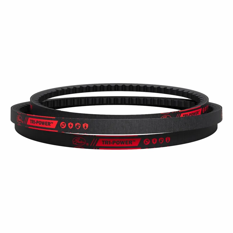 Gates BX58 Cogged V-Belt, 61 in Outside Lg, 21/32 in Top Wd, 13/32 in Thick, Polyester