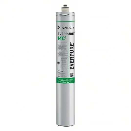 Pentair EV961256-75 Quick Connect Filter 0.5 micron, 1.7 gpm, 9,000 gal, 20 3/4 in Overall Ht