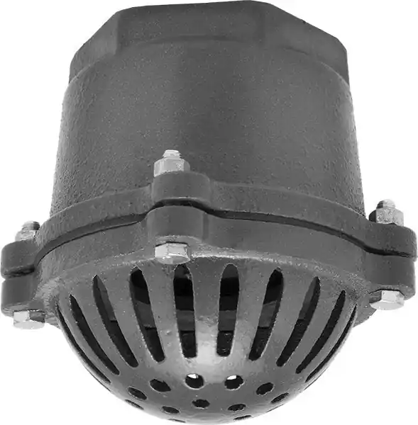 McMaster 5436K371 Suction Strainer with Backflow-Prevention Valve Iron 4 NPT Female Connection
