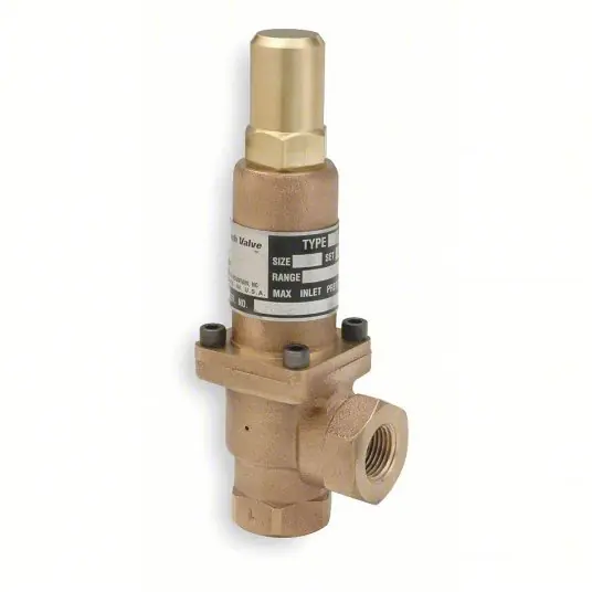 Cash Value K10AWA01-E3-0100 Adjustable Back Pressure Relief Valve FNPT x FNPT, 1/4 in x 1/4 in, Bronze