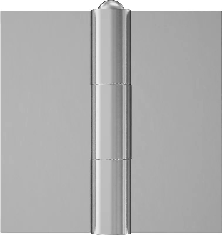 McMaster 1609A2 Hinge without Holes, Removable Pin, 5" × 2-1/2" Door Leaf, 1/4" Leaf Thickness