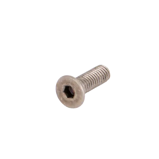 Screw