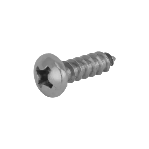 SS Volute Screw
