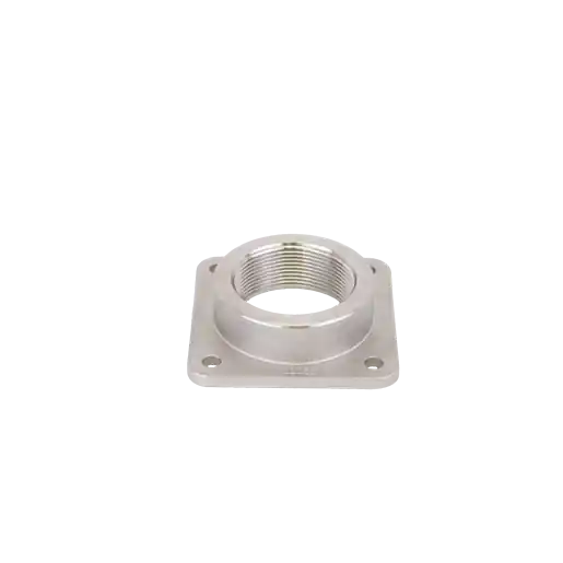 Stainless Steel Threaded Flange