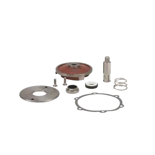 17100 2" Cast Iron 200 Series Repair Kit
