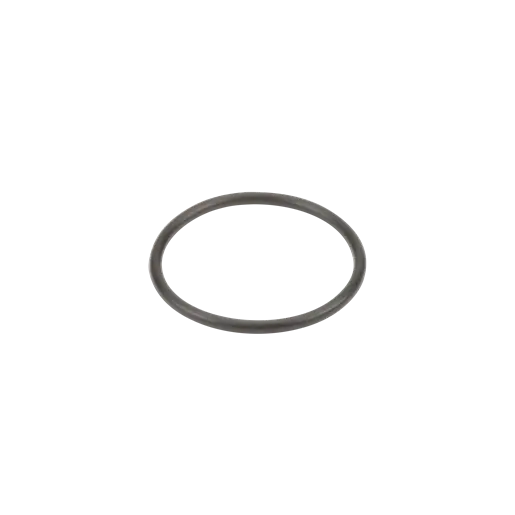 3/4" & 1" EPDM Gasket, "T" Strainer