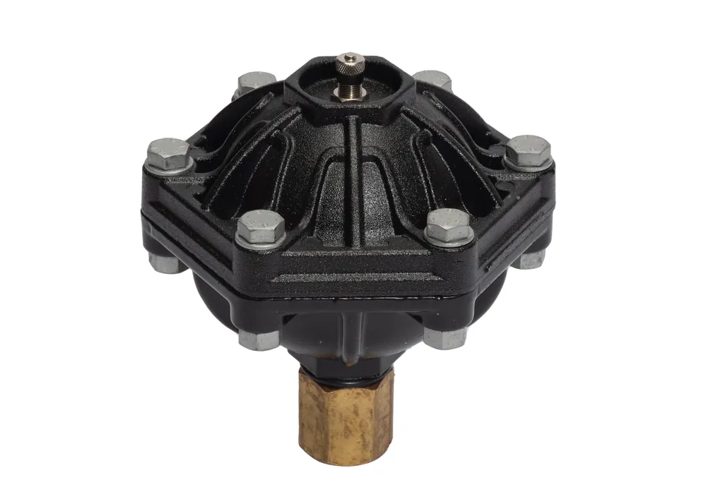 6031.09E Pulsation Dampener