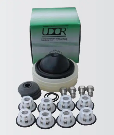 8700.09CK Complete Diaphragm Repair Kit RO-160/175