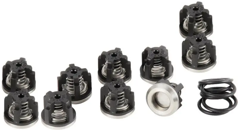 9910-KIT2024 D1265 Valve Kit