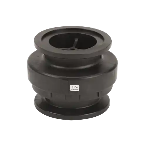 2" Full Port Manifold Check Valve Assembly