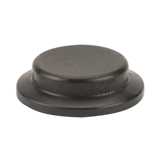 2" Flange Plug