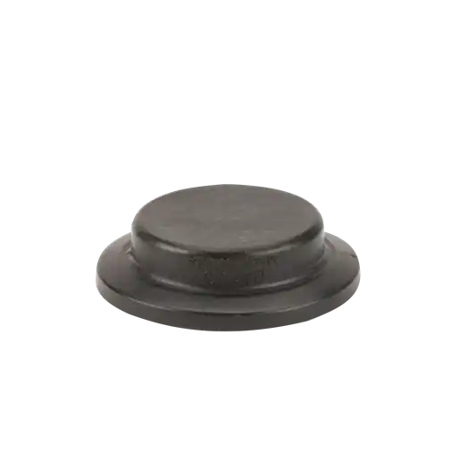 2" Full Port Flange Plug