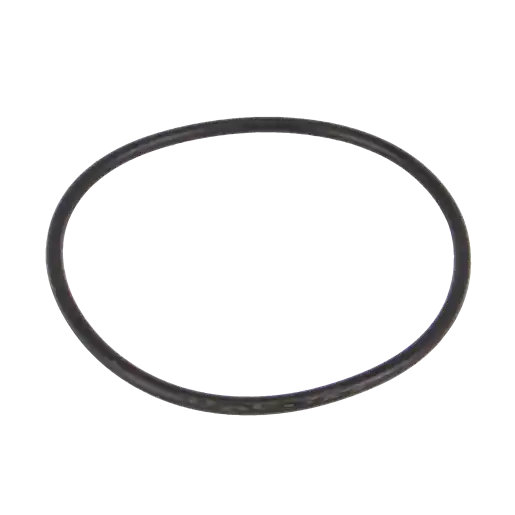 3" Manifold Line Strainer End Cap Gasket FKM (viton)