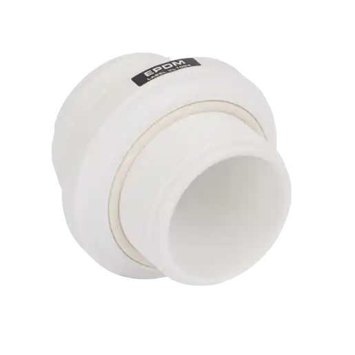 2" Buttress X 2" NPT Assembly