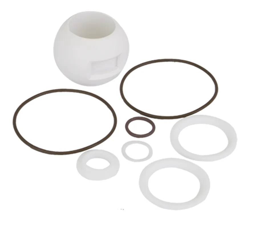 Valve Repair Kit