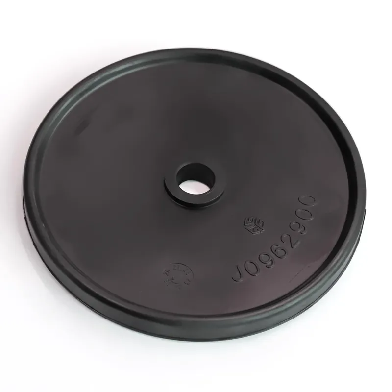 Piston Diaphragm