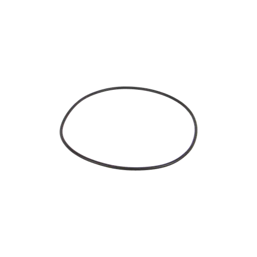 Body O-Ring