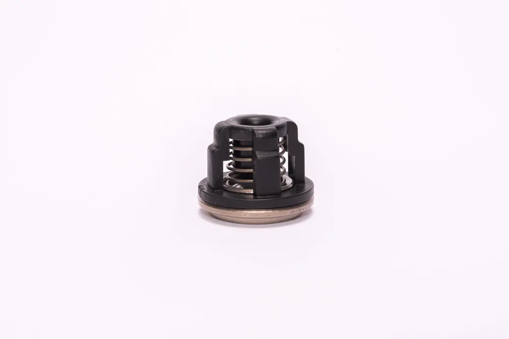 Complete Valve Assembly