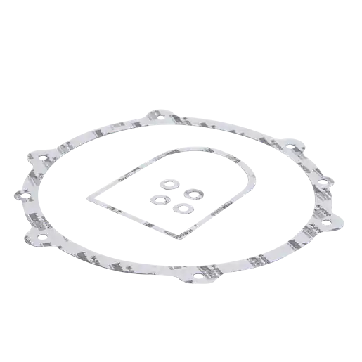 Gasket