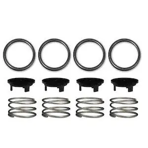 Valve & Seal Repair Kit (Viton)