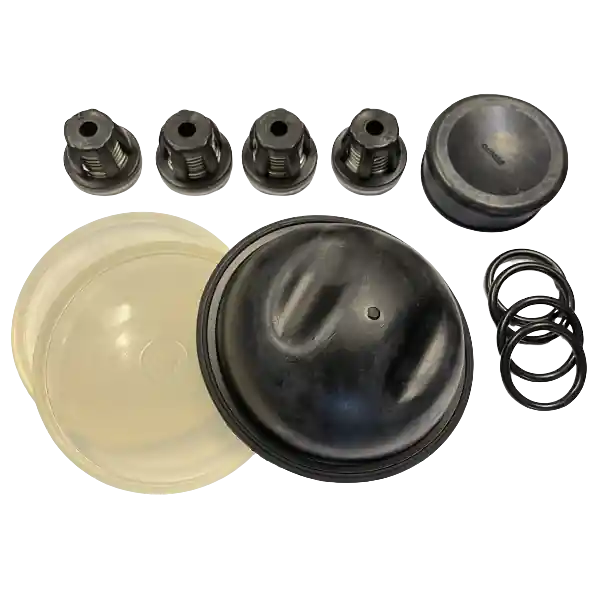 Hypro D50 Diaphragm & Valve Kit