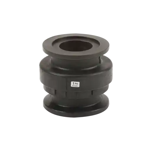2" Flanged Poly Check Valve