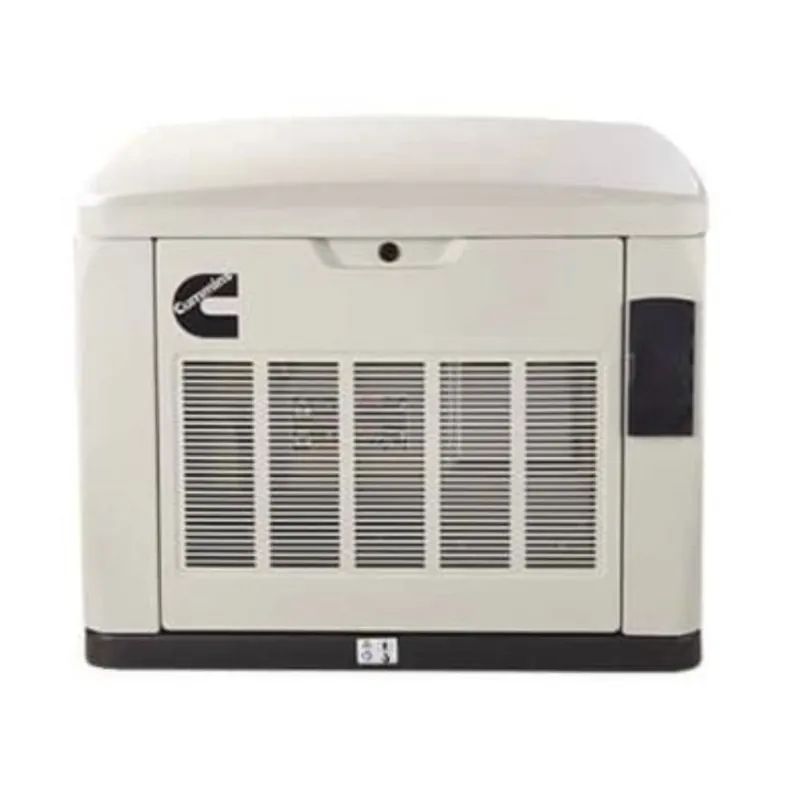 13 kW Natural Gas and Propane Generator RS13A