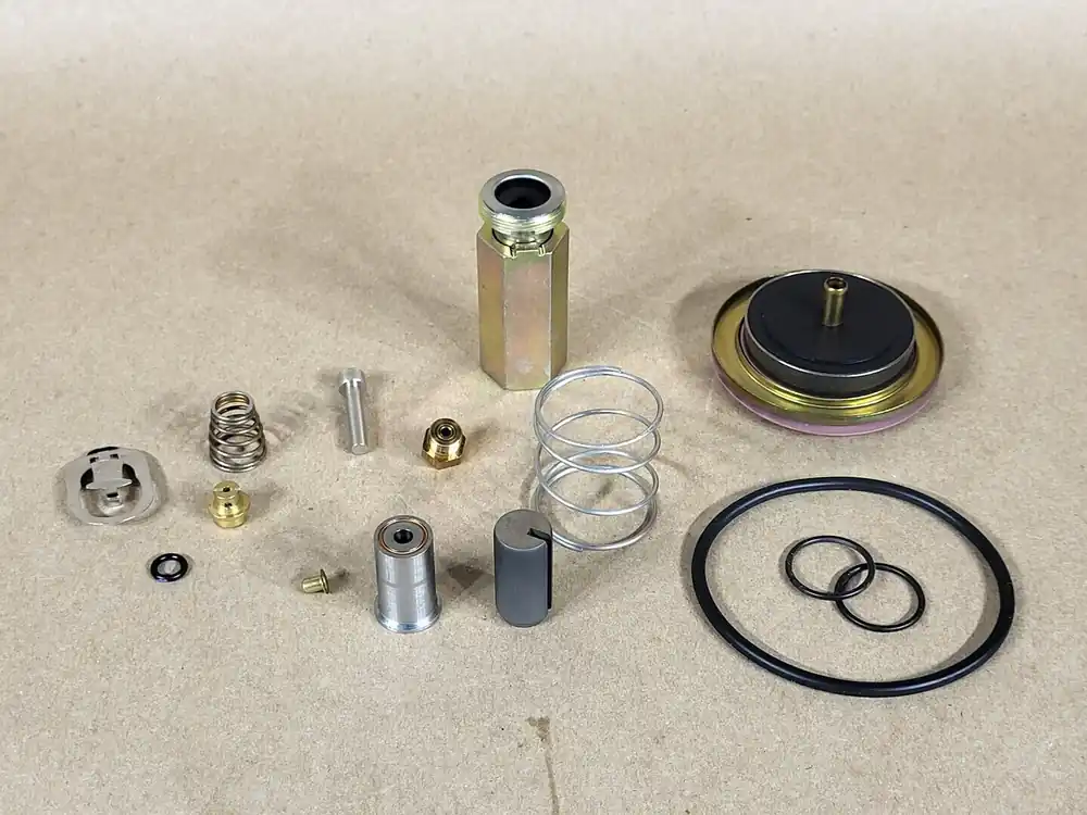 Valve Repair Kit 310490
