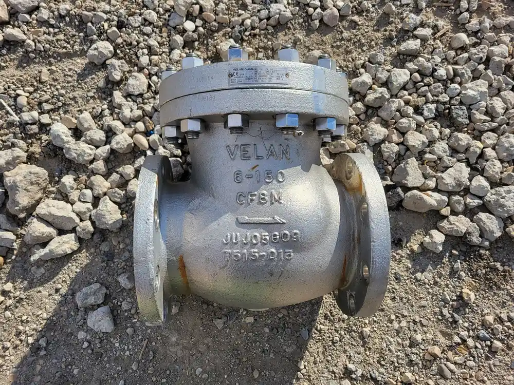 6" Class 150 Check Valve B16.34