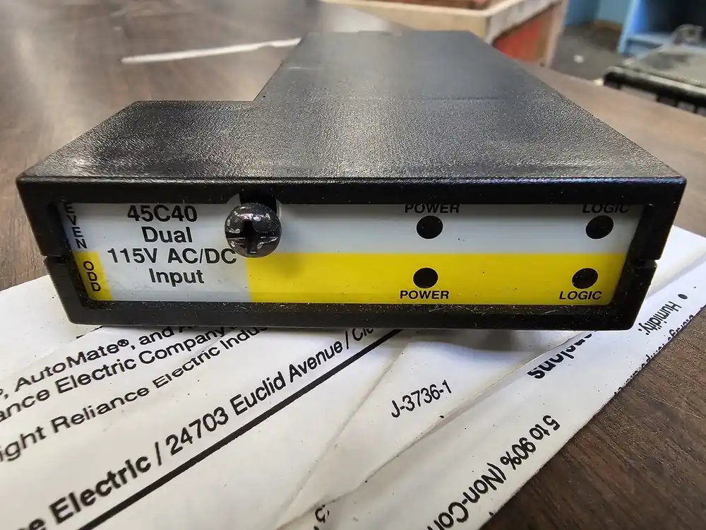 Dual 115 Volts AC/DC Input Module 45C40