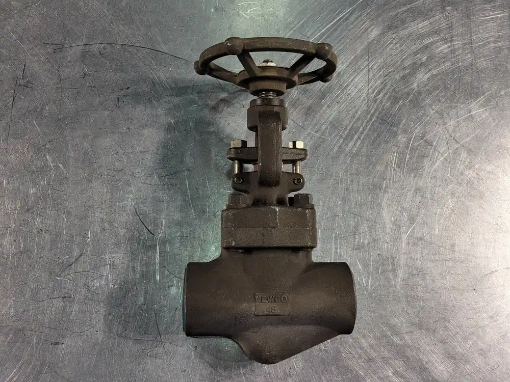 2", Class 800, Globe Valve, B16.34