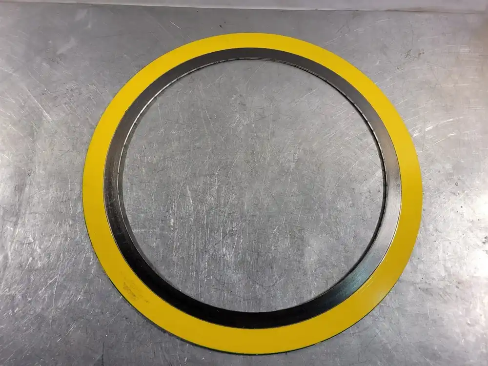 18" 300 316L/FG Spiral Wound Gasket Style CG