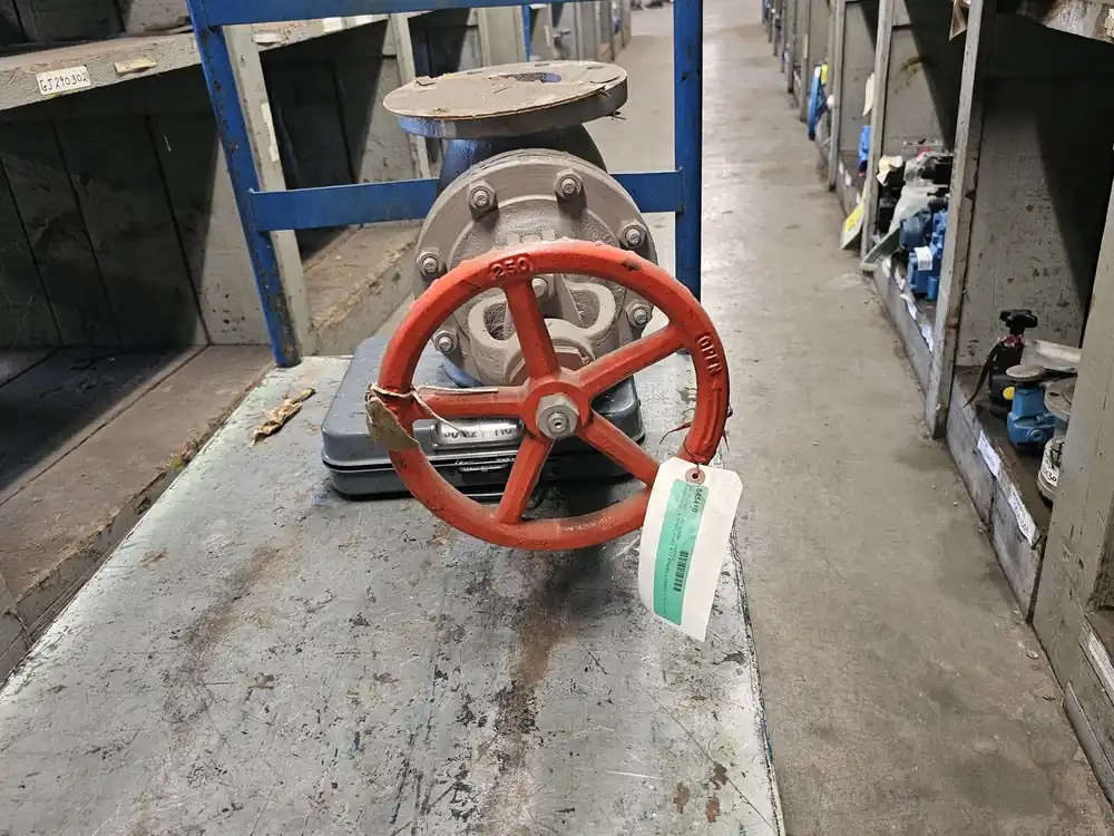 4" Class 150 Globe Valve 150SCJ