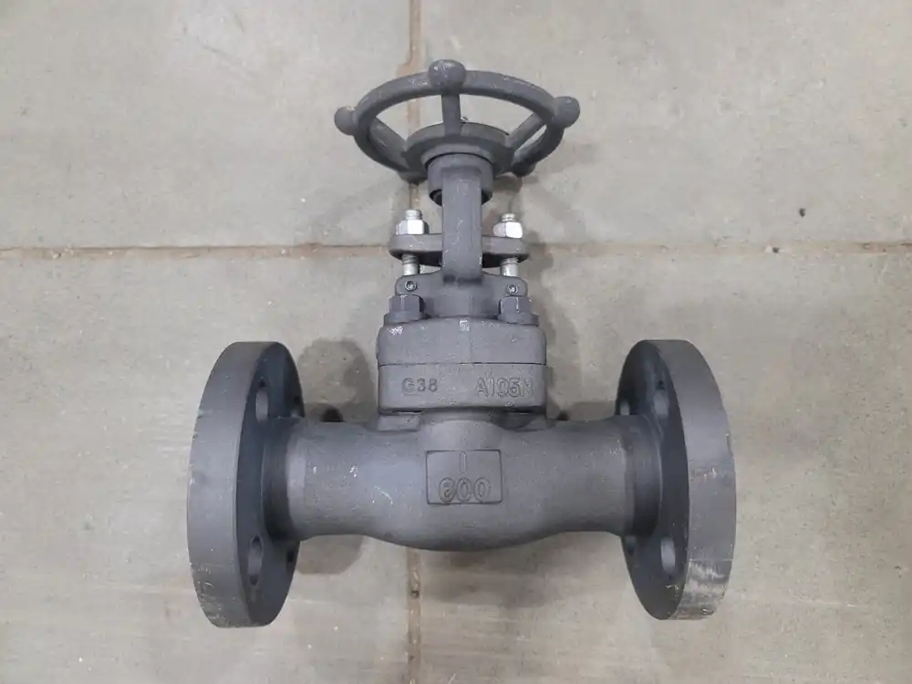 1", Class 600, Gate Valve, B16.34