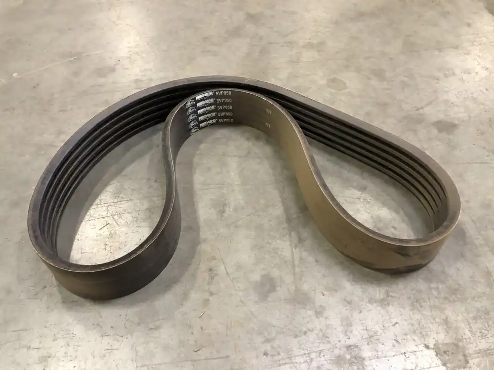 Predator PowerBand Belt No. 5/5VP950