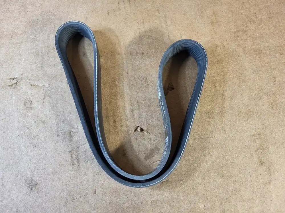 V-Ribbed Belt 3644379