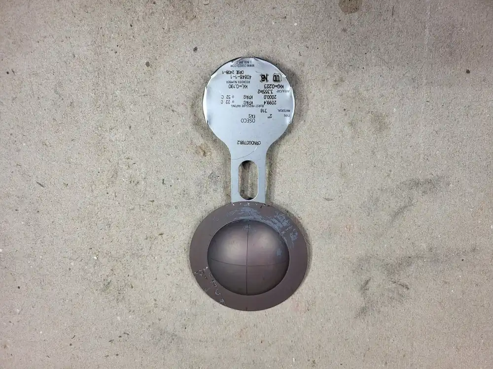 2" FAS Rupture Disc CRNOG0768.2