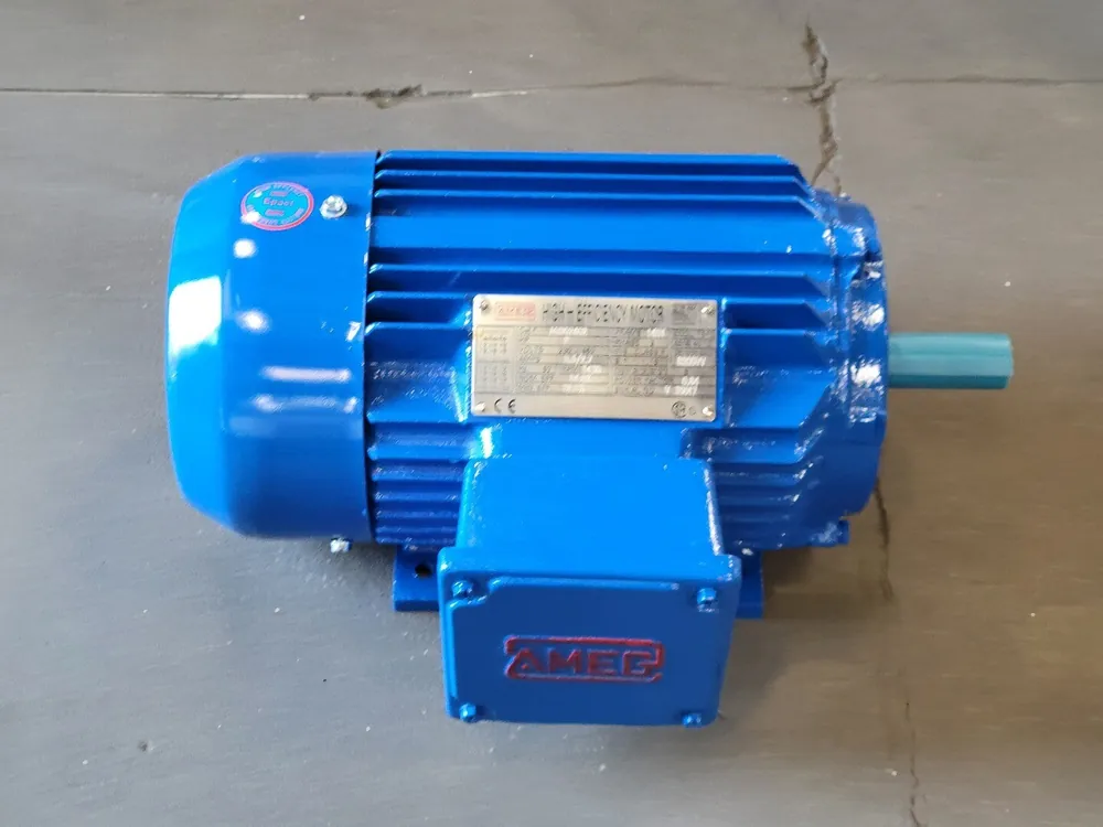 2 hp, 230/460 volts, 3430 rpm, 145T Electric Motor AG002402