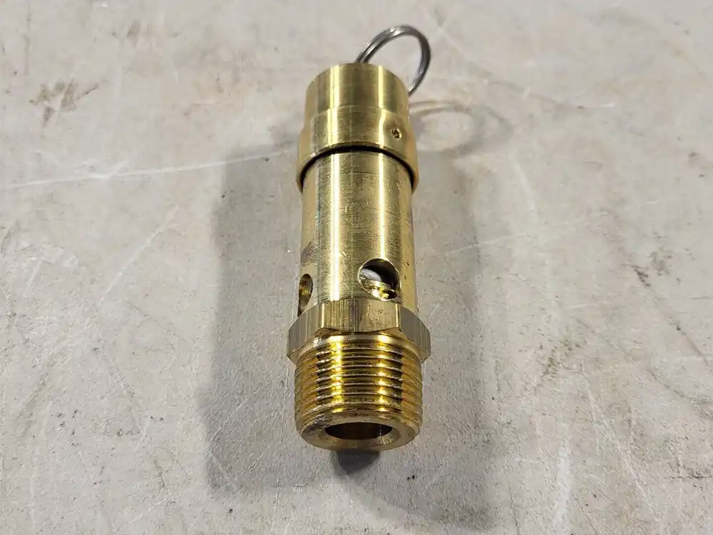 Replacement Safety Valve 39588116