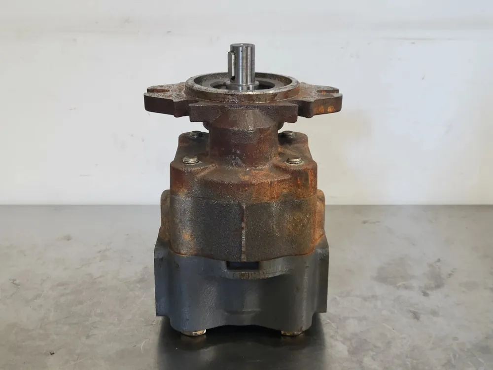 Gear Pump 3HH55R-R87S