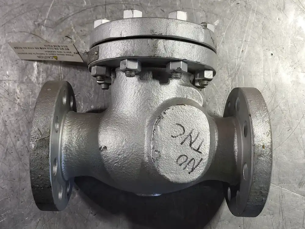 2" Class 300 Check Valve B16.34