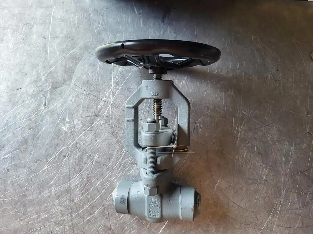 1" 1500 PSI Globe Valve