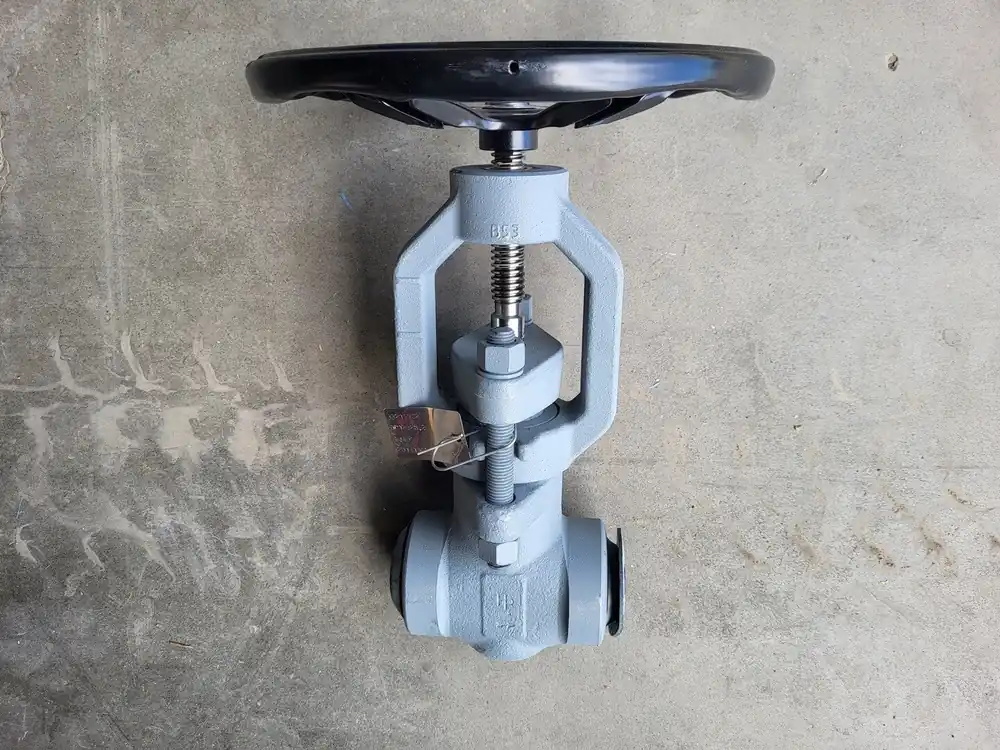 2" 900 PSI Globe Valve